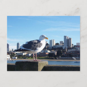 san francisco. postkarte