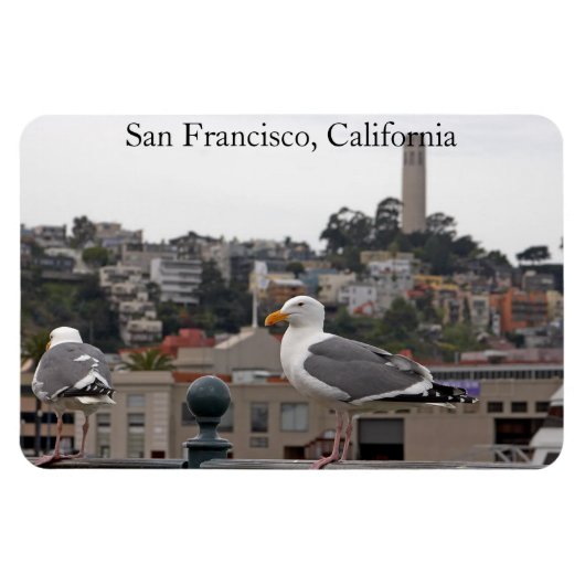 San Francisco Seagull Premium Flexi Magnet (Horizontal)