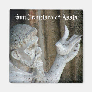 San Francisco und die Taube Magnet