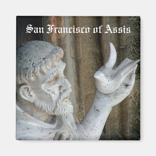 San Francisco und die Taube Magnet (Vorne)