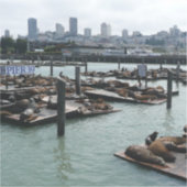 San Francisco und Pier 39 Sea Lions City Skyline Aufkleber (Vorderseite)