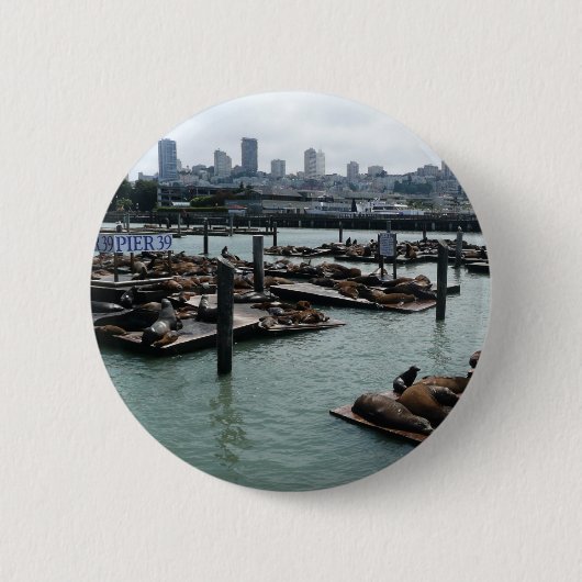 San Francisco und Pier 39 Sea Lions City Skyline Button (Vorderseite)