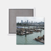 San Francisco und Pier 39 Sea Lions City Skyline Magnet (Vorderseite/Rückseite)