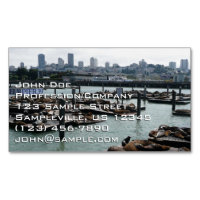 San Francisco und Pier 39 Sea Lions City Skyline