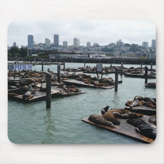 San Francisco und Pier 39 Sea Lions City Skyline Mousepad (Vorne)
