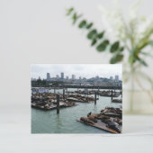 San Francisco und Pier 39 Sea Lions City Skyline Postkarte (Stehend Vorderseite)