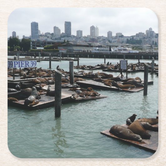 San Francisco und Pier 39 Sea Lions City Skyline Rechteckiger Pappuntersetzer (Vorderseite)