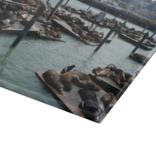San Francisco und Pier 39 Sea Lions City Skyline Schneidebrett (Ecke)