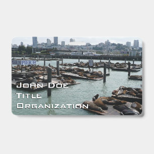 San Francisco und Pier 39 Seelöwen Stadt Skyline Ausweis