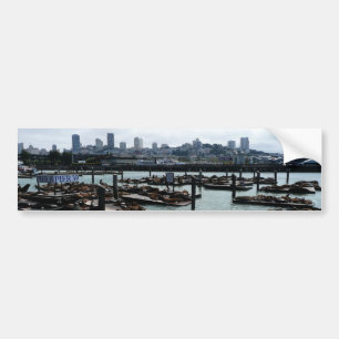 San Francisco und Pier 39 Seelöwen Stadt Skyline Autoaufkleber