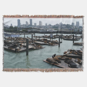 San Francisco und Pier 39 Seelöwen Stadt Skyline Decke