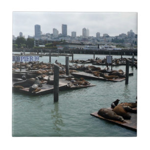 San Francisco und Pier 39 Seelöwen Stadt Skyline Fliese