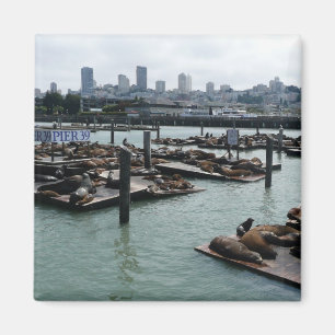 San Francisco und Pier 39 Seelöwen Stadt Skyline Magnet