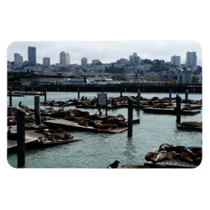 San Francisco und Pier 39 Seelöwen Stadt Skyline Magnet