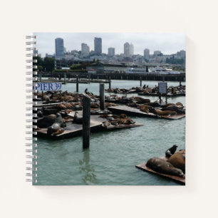 San Francisco und Pier 39 Seelöwen Stadt Skyline Notizblock