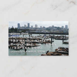 San Francisco und Pier 39 Seelöwen Stadt Skyline Visitenkarte