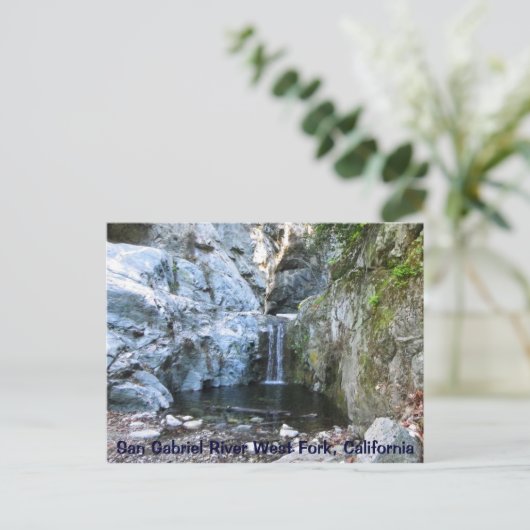 San Gabriel River West Fork Postcard! Postkarte (Stehend Vorderseite)