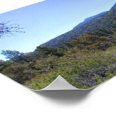 San Gorgonio Wilderness Poster (Ecke)