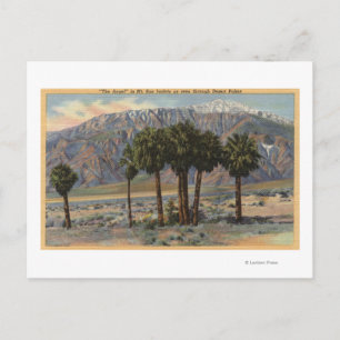 San Jacinto Angel Aussicht durch Palmen Postkarte