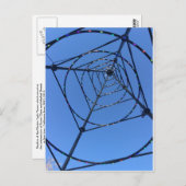 San Jose Electric Light Tower Postkarte (Vorne/Hinten)