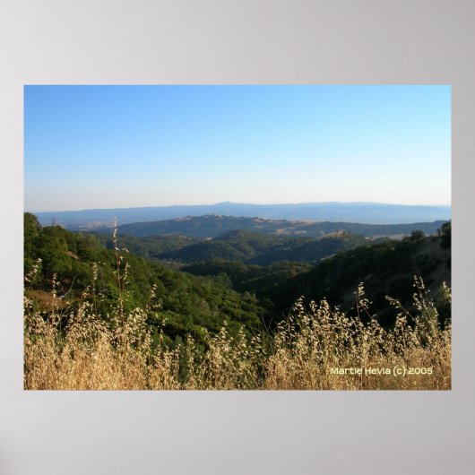 San Jose Foothills Duftende Gras Poster (Vorne)