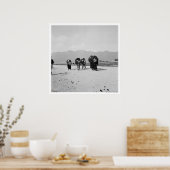 San Juan Chamula, Chiapas, Mexiko Poster (Küche)