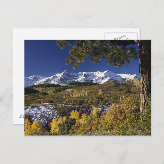 San Juan-Gebirge und Aspen-Bäume in Fallfarbe Postkarte (Vorne/Hinten)