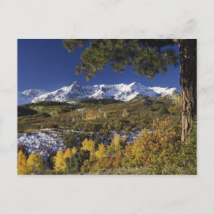 San Juan-Gebirge und Aspen-Bäume in Fallfarbe Postkarte