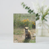 San Juan Island Fox Postkarte (Stehend Vorderseite)