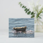 San Juan Island Grüße Postkarte (Stehend Vorderseite)