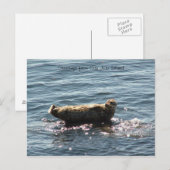 San Juan Island Grüße Postkarte (Vorne/Hinten)