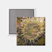 San Juan Island, Washington Magnet (Vorderseite/Rückseite)