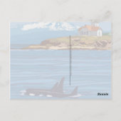San Juan Islands Postkarte (Rückseite)