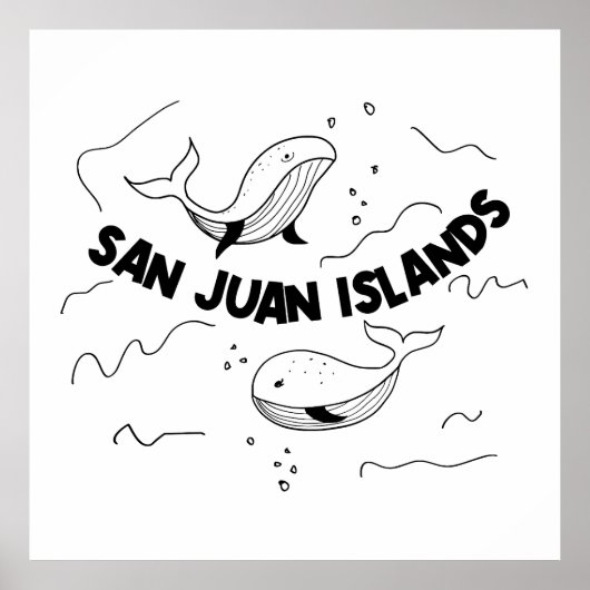 San Juan Islands Whales Poster (Vorne)