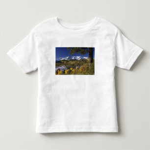 San Juan Mountains und Espen in Herbstfarben Kleinkind T-shirt
