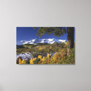 San Juan Mountains und Espen in Herbstfarben Leinwanddruck