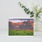 San Juan Mts CO Postkarte (Stehend Vorderseite)