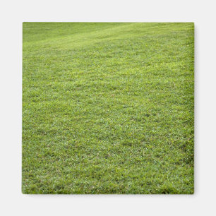 San Juan, Puerto Rico - Grünes Gras Magnet