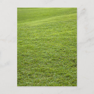 San Juan, Puerto Rico - Grünes Gras Postkarte