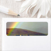 San Luis Valley nach dem Regen (Insitu)