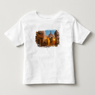 San Miguel de Allende, Mexiko. Bildnachweis: Nancy Kleinkind T-shirt
