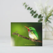 San Pedrito de Puerto Rico Postcard Postkarte (Stehend Vorderseite)