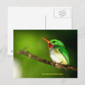 San Pedrito de Puerto Rico Postcard Postkarte (Vorne/Hinten)