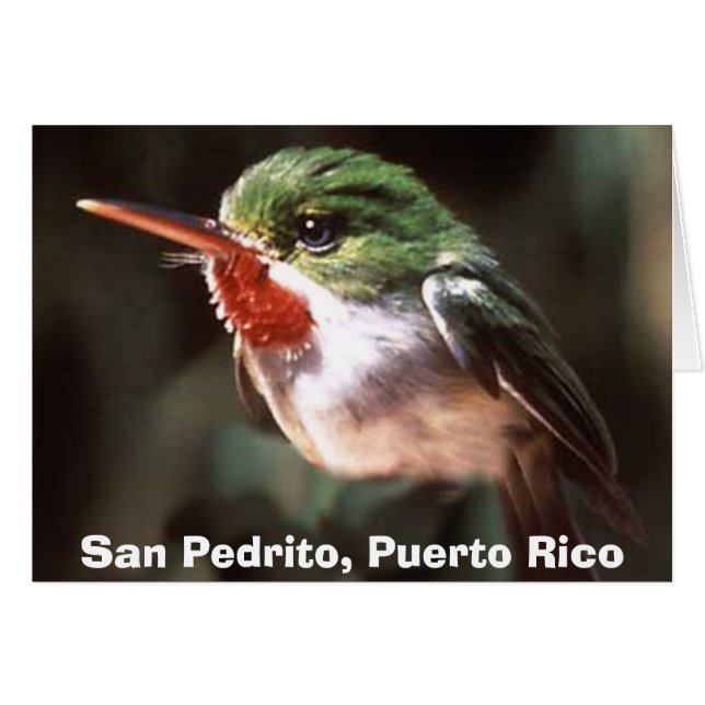 San Pedrito, San Pedrito, Puerto Rico (Vorderseite (Horizontal))