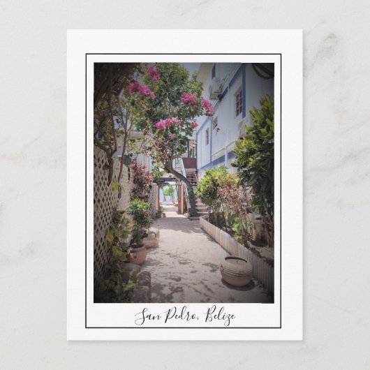 San Pedro Ambergris Caye Belize Postcard Postkarte (Vorderseite)