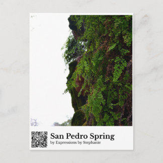San Pedro Quelle Postkarte