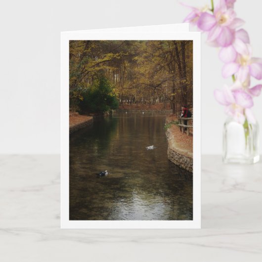 San Vicente Park Lake, Lliria, Valencia Karte (Orchidee)