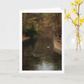 San Vicente Park Lake, Lliria, Valencia Karte (Gelbe Blume)