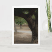 San Vicente Park Lliria, Valencia Karte (Vorderseite)