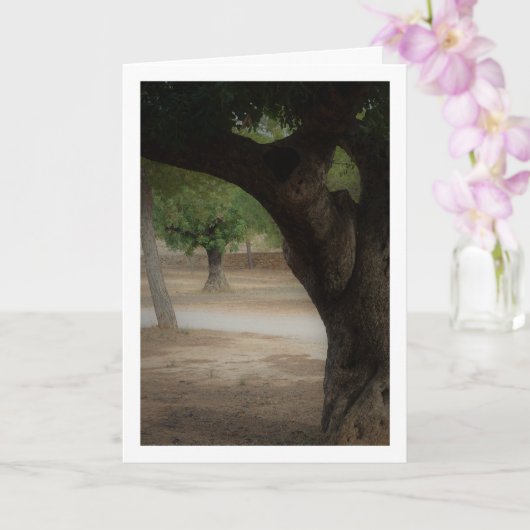 San Vicente Park Lliria, Valencia Karte (Orchidee)